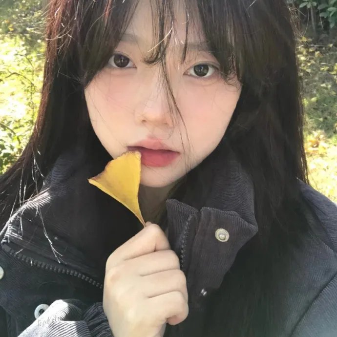 姊妹坡国语