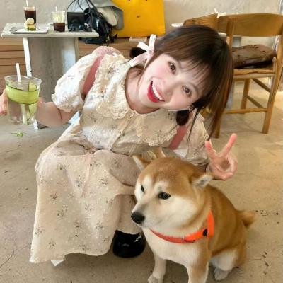 吃货拯救世界